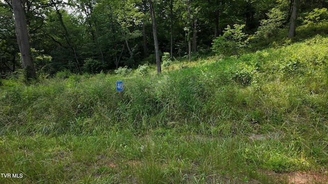 TR40 Cowan Town Rd, Butler, TN 37640 - photo 66