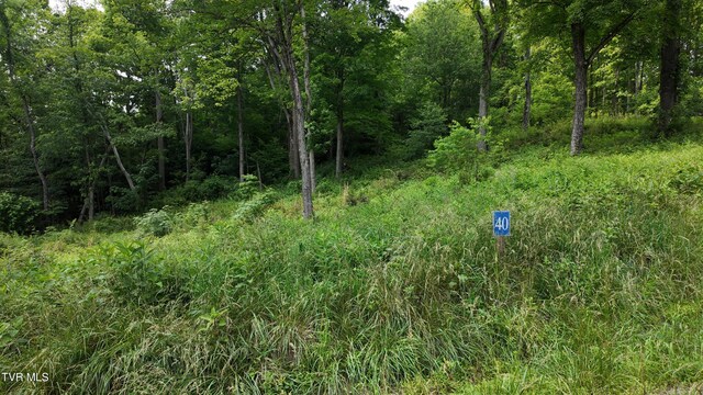 TR40 Cowan Town Rd, Butler, TN 37640 - photo 67