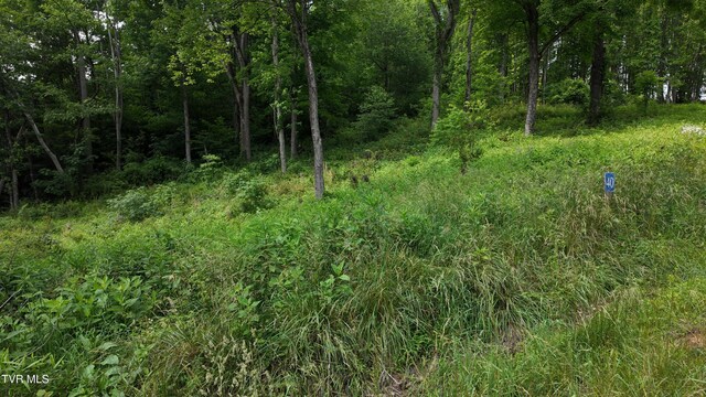 TR40 Cowan Town Rd, Butler, TN 37640 - photo 68