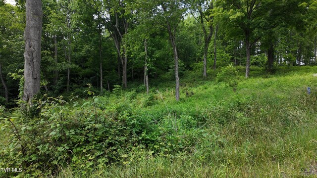 TR40 Cowan Town Rd, Butler, TN 37640 - photo 69