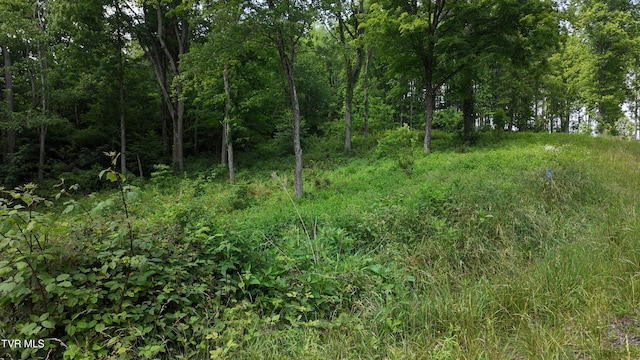 TR40 Cowan Town Rd, Butler, TN 37640 - photo 70