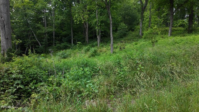 TR40 Cowan Town Rd, Butler, TN 37640 - photo 71