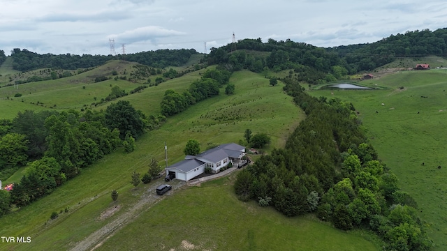 1168 Webster Valley Rd, Rogersville, TN 37857 - photo 3