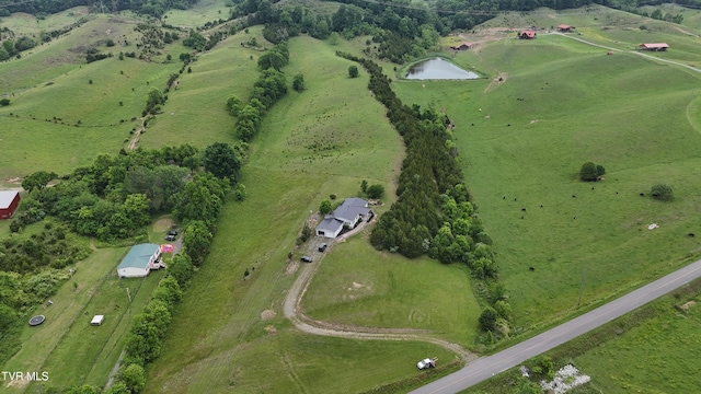 1168 Webster Valley Rd, Rogersville, TN 37857 - photo 10