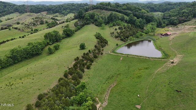 1168 Webster Valley Rd, Rogersville, TN 37857 - photo 12