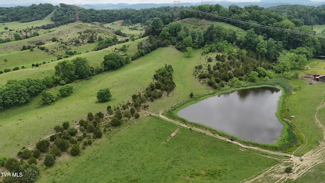 1168 Webster Valley Rd, Rogersville, TN 37857 - photo 13