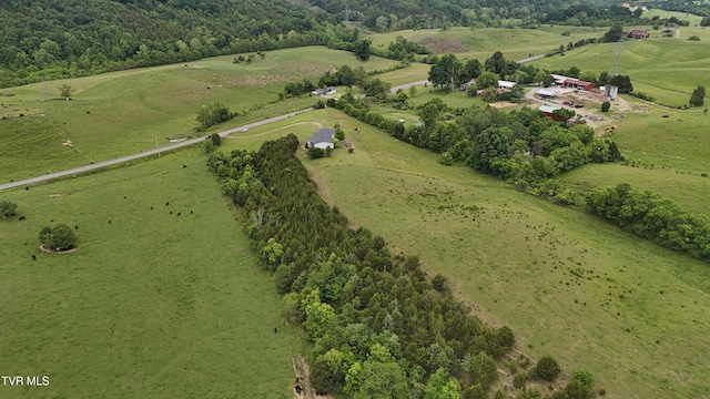1168 Webster Valley Rd, Rogersville, TN 37857 - photo 16