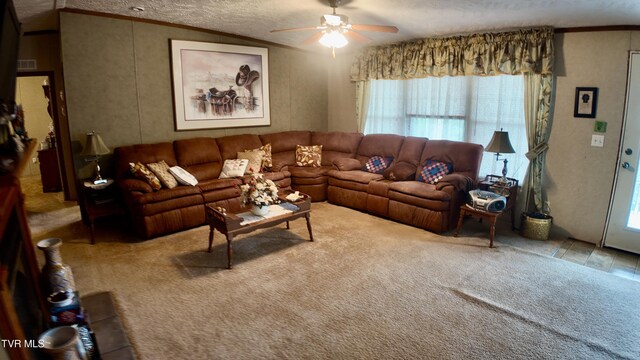 1168 Webster Valley Rd, Rogersville, TN 37857 - photo 26