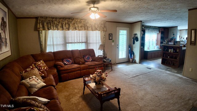 1168 Webster Valley Rd, Rogersville, TN 37857 - photo 28