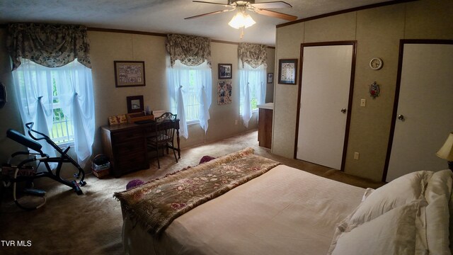 1168 Webster Valley Rd, Rogersville, TN 37857 - photo 31