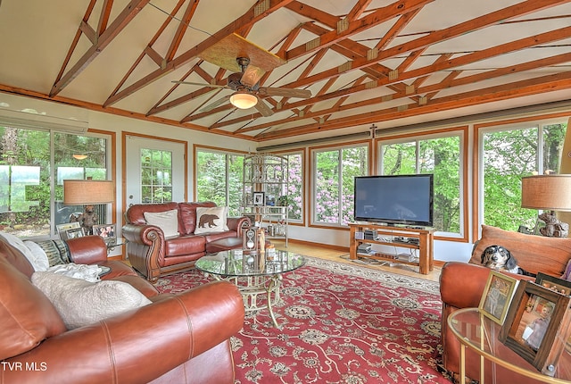 340 Roby Greer Ln, Shady Valley, TN 37688 - photo 40