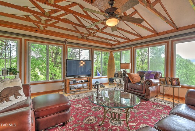 340 Roby Greer Ln, Shady Valley, TN 37688 - photo 44