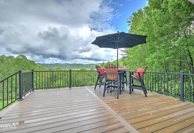 340 Roby Greer Ln, Shady Valley, TN 37688 - photo 11
