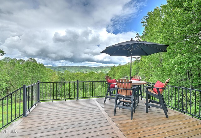 340 Roby Greer Ln, Shady Valley, TN 37688 - photo 10