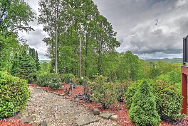 340 Roby Greer Ln, Shady Valley, TN 37688 - photo 6