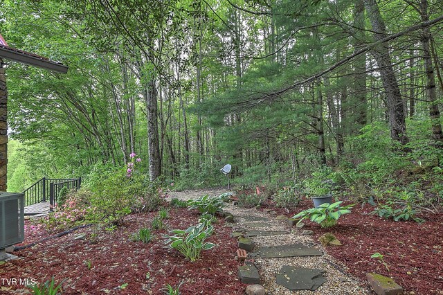 340 Roby Greer Ln, Shady Valley, TN 37688 - photo 47