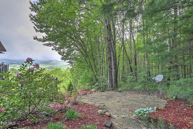 340 Roby Greer Ln, Shady Valley, TN 37688 - photo 49