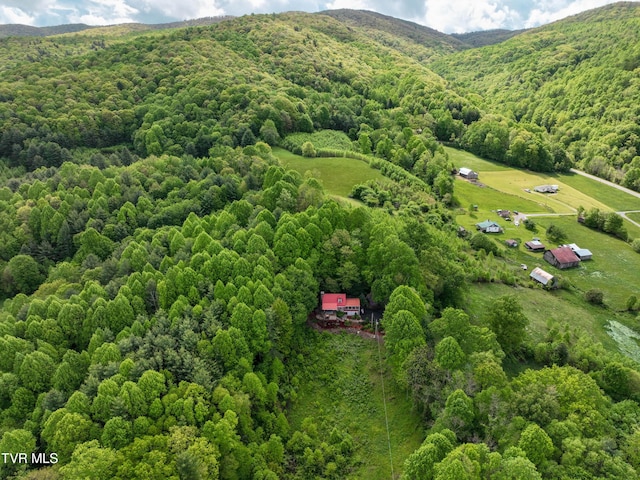 340 Roby Greer Ln, Shady Valley, TN 37688 - photo 55