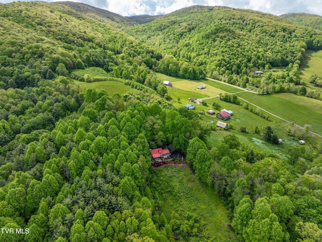 340 Roby Greer Ln, Shady Valley, TN 37688 - photo 2