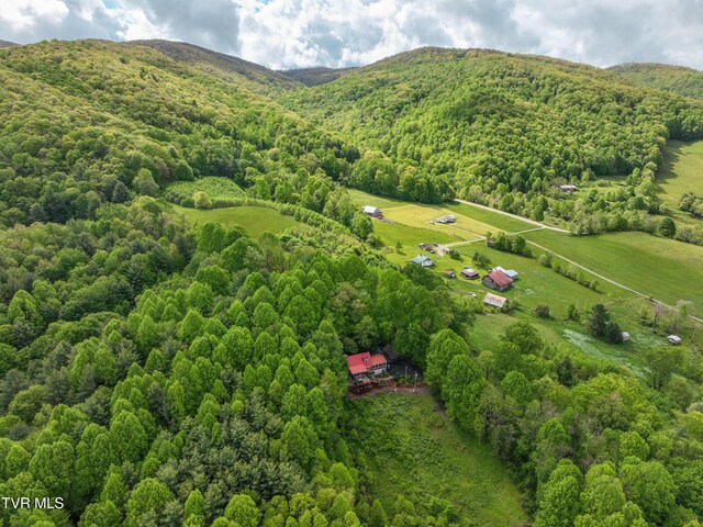 340 Roby Greer Ln, Shady Valley, TN 37688 - photo 56