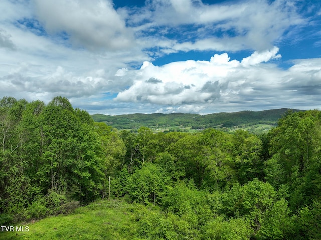 340 Roby Greer Ln, Shady Valley, TN 37688 - photo 12