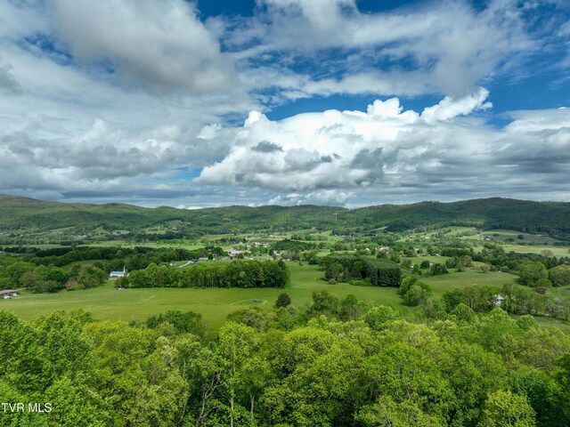340 Roby Greer Ln, Shady Valley, TN 37688 - photo 13