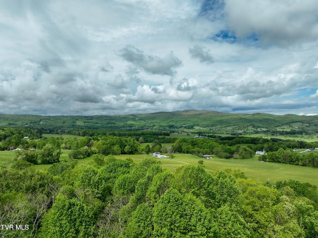 340 Roby Greer Ln, Shady Valley, TN 37688 - photo 14
