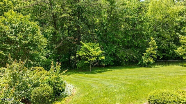 121 Queensgate, Bristol, TN 37620 - view of yard