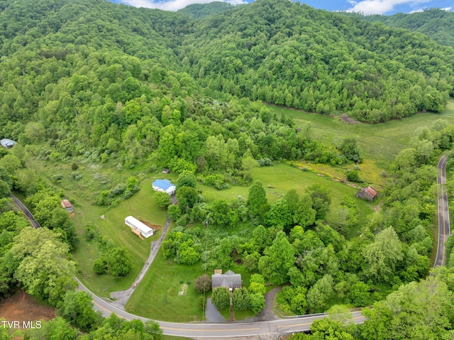 8836 Bristol Hwy, Hiltons, VA 24258 - drone / aerial view of a forest