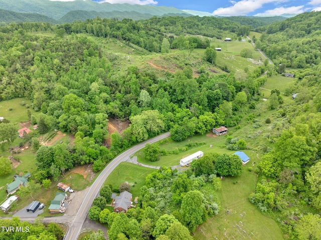 8836 Bristol Hwy, Hiltons, VA 24258 - aerial view of property and surrounding area featuring a forest and a mountainous background