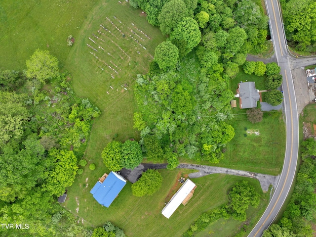 8836 Bristol Hwy, Hiltons, VA 24258 - view of property location featuring a tree filled landscape