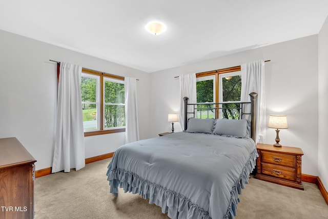 8836 Bristol Hwy, Hiltons, VA 24258 - bedroom featuring light colored carpet and baseboards