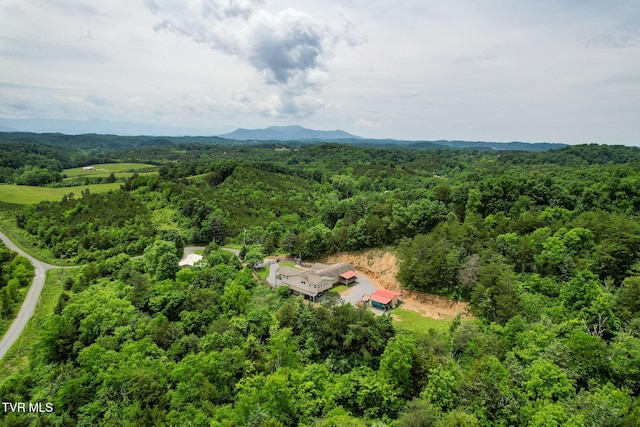 558 Oakland Dr, Bybee, TN 37713 - bird's eye view of a heavily wooded area