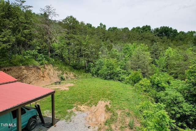 558 Oakland Dr, Bybee, TN 37713 - view of yard with a forest view
