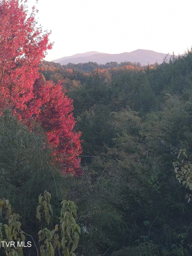 558 Oakland Dr, Bybee, TN 37713 - view of mountain backdrop with a forest