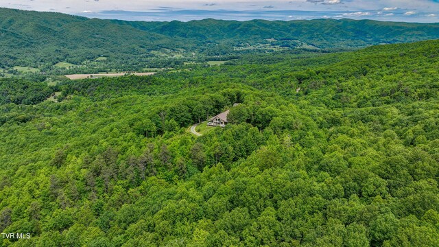 271 Iron Mountain Retreat Rd, Elizabethton, TN 37643 - photo 118
