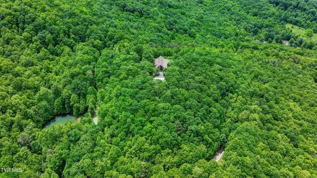 271 Iron Mountain Retreat Rd, Elizabethton, TN 37643 - photo 120
