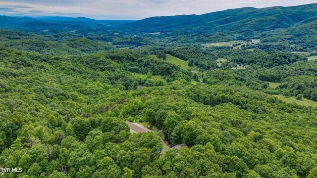 271 Iron Mountain Retreat Rd, Elizabethton, TN 37643 - photo 115