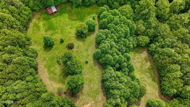 271 Iron Mountain Retreat Rd, Elizabethton, TN 37643 - photo 108
