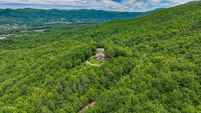 271 Iron Mountain Retreat Rd, Elizabethton, TN 37643 - photo 119