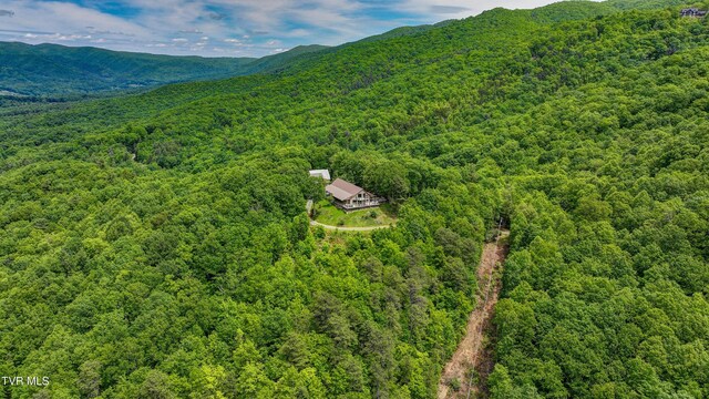 271 Iron Mountain Retreat Rd, Elizabethton, TN 37643 - photo 121