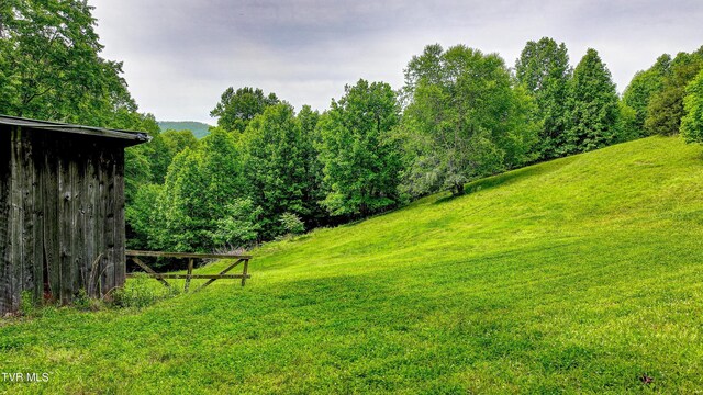 271 Iron Mountain Retreat Rd, Elizabethton, TN 37643 - photo 111