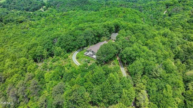 271 Iron Mountain Retreat Rd, Elizabethton, TN 37643 - photo 123