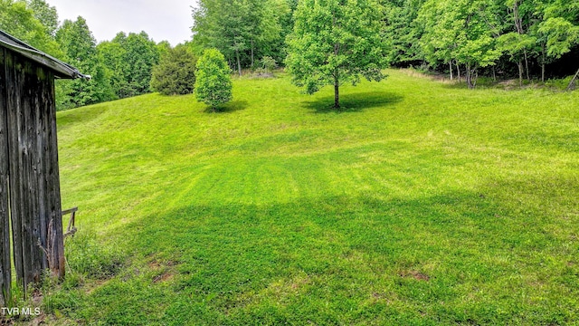 271 Iron Mountain Retreat Rd, Elizabethton, TN 37643 - photo 112