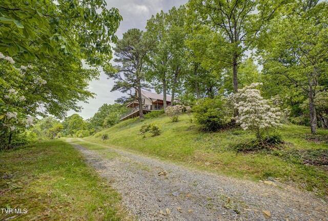 271 Iron Mountain Retreat Rd, Elizabethton, TN 37643 - photo 105