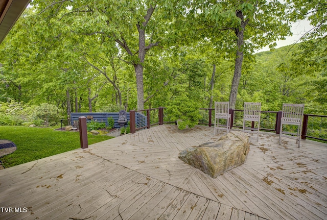 271 Iron Mountain Retreat Rd, Elizabethton, TN 37643 - photo 83