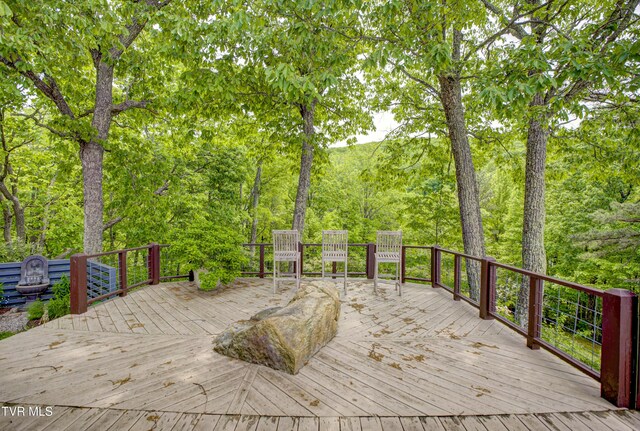 271 Iron Mountain Retreat Rd, Elizabethton, TN 37643 - photo 84