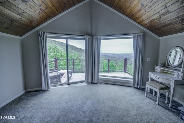 271 Iron Mountain Retreat Rd, Elizabethton, TN 37643 - photo 43