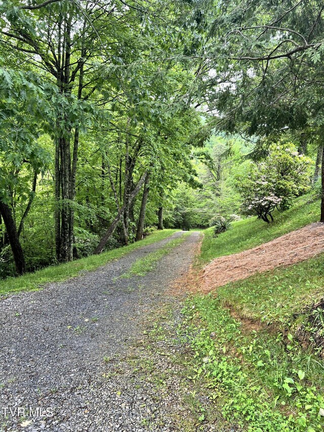 271 Iron Mountain Retreat Rd, Elizabethton, TN 37643 - photo 114