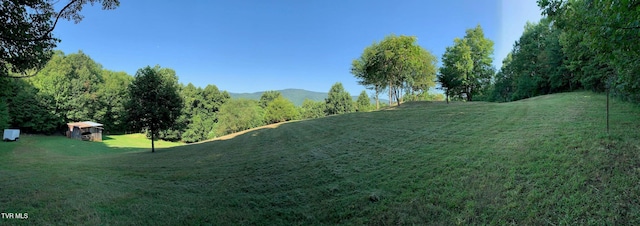 271 Iron Mountain Retreat Rd, Elizabethton, TN 37643 - photo 113
